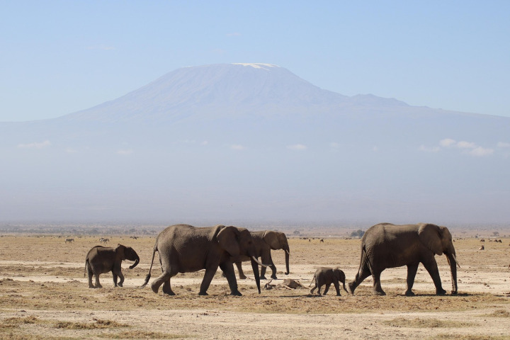 Kenyan safari landscape near Nairobi